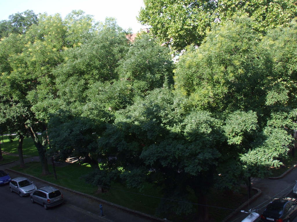Appartement St. Leonhard Γκρατς Εξωτερικό φωτογραφία